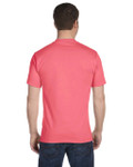 CHARISMA CORAL-BACK CHARISMA CORAL-BACK