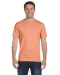 CANDY ORANGE-FRONT CANDY ORANGE-FRONT