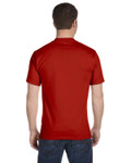 DEEP RED-Back DEEP RED-Back