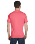 CHARISMA CORAL-Back CHARISMA CORAL-Back