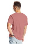 MAUVE-Back MAUVE-Back