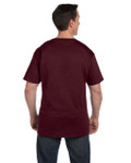 MAROON-BACK MAROON-BACK