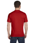 DEEP RED-BACK DEEP RED-BACK