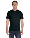 BLACK-FRONT BLACK-FRONT