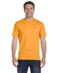 GOLD-FRONT GOLD-FRONT
