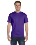 PURPLE-Front PURPLE-Front