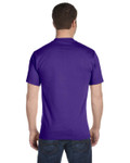 PURPLE-Back PURPLE-Back