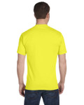 SAFETY GREEN-Back SAFETY GREEN-Back
