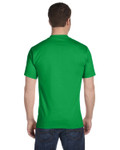 SHAMROCK GREEN-Back SHAMROCK GREEN-Back