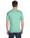 CLEAN MINT-Back CLEAN MINT-Back