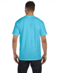 LAGOON BLUE-BACK