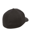 BLACK-BACK BLACK-BACK