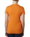ORANGE-Back ORANGE-Back