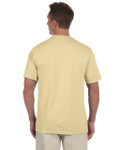 VEGAS GOLD-BACK VEGAS GOLD-BACK