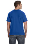 ROYAL BLUE-BACK ROYAL BLUE-BACK