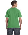 GREEN APPLE-Back GREEN APPLE-Back