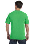 NEON GREEN-BACK NEON GREEN-BACK