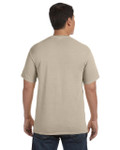 SANDSTONE-BACK SANDSTONE-BACK
