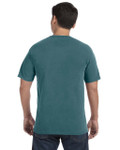 EMERALD-BACK EMERALD-BACK