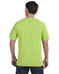 KIWI-BACK KIWI-BACK