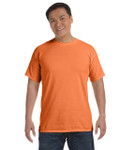 MANGO-FRONT MANGO-FRONT
