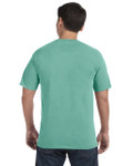 ISLAND REEF-BACK ISLAND REEF-BACK