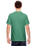 ISLAND GREEN-Back ISLAND GREEN-Back