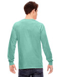ISLAND REEF-BACK ISLAND REEF-BACK