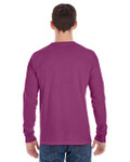BOYSENBERRY-BACK BOYSENBERRY-BACK