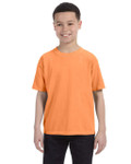 MELON-FRONT MELON-FRONT