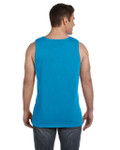 SAPPHIRE-BACK SAPPHIRE-BACK