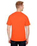 ORANGE-BACK ORANGE-BACK