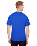 ROYAL-BACK ROYAL-BACK
