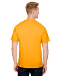C GOLD-BACK C GOLD-BACK
