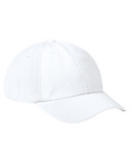 WHITE-FRONT WHITE-FRONT