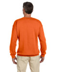 ORANGE-BACK ORANGE-BACK