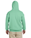 MINT GREEN-BACK MINT GREEN-BACK