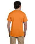 TANGERINE-BACK TANGERINE-BACK