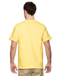 CORNSILK-BACK CORNSILK-BACK