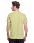 PISTACHIO-Back PISTACHIO-Back