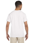 WHITE-BACK WHITE-BACK