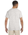 ASH GREY-BACK ASH GREY-BACK