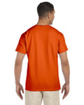 ORANGE-BACK ORANGE-BACK