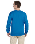 SAPPHIRE-BACK SAPPHIRE-BACK