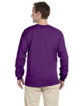 PURPLE-BACK PURPLE-BACK