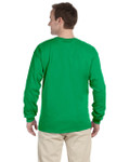 IRISH GREEN-BACK IRISH GREEN-BACK