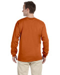 T ORANGE-Back T ORANGE-Back