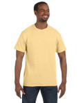 YELLOW HAZE-FRONT YELLOW HAZE-FRONT