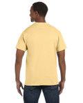 YELLOW HAZE-BACK YELLOW HAZE-BACK