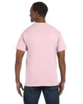 LIGHT PINK-BACK LIGHT PINK-BACK